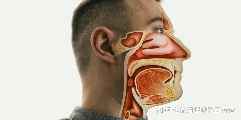 打呼噜的解决方法
