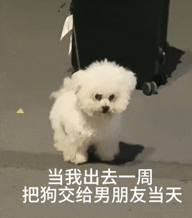 恋恋靠谱吗