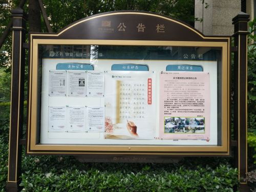 vivo手机通知栏在哪里游戏截图