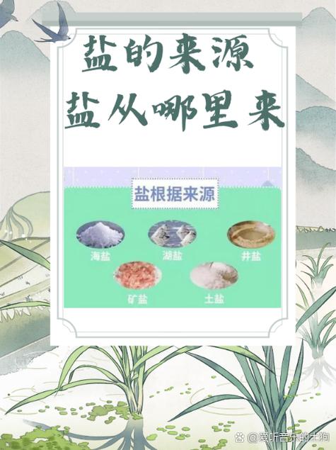 盐是怎么来的视频