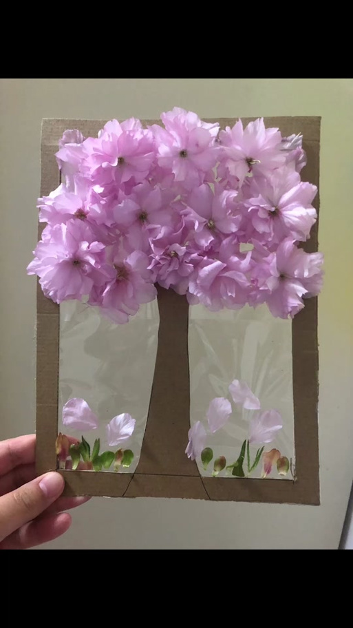 用掉落的花瓣做手工