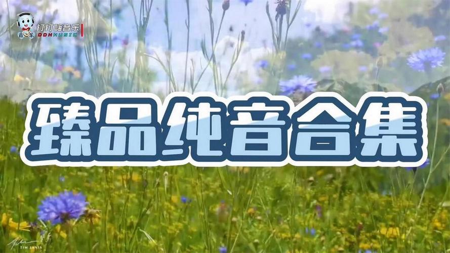 加拿大高档音响