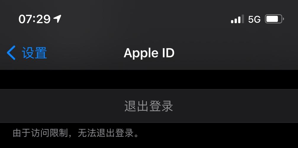 苹果手机由于访问限制无法退出