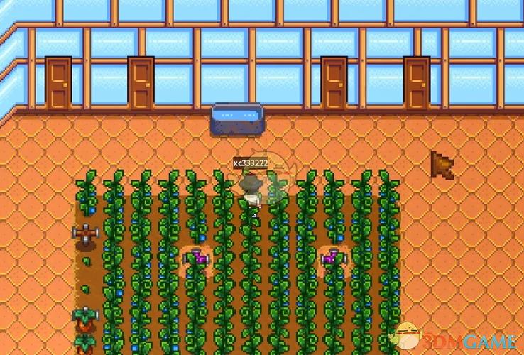 星露谷物语温室可建造mod