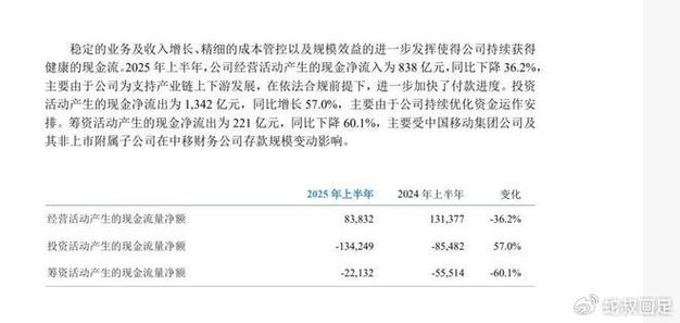 中国移动财务报表分析论文