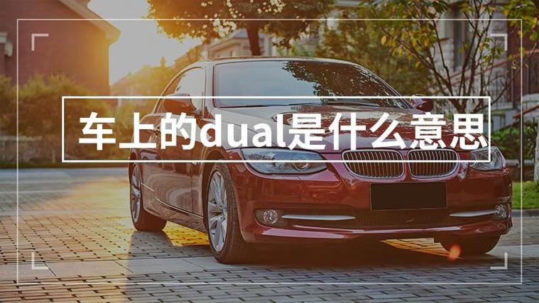 dual是什么