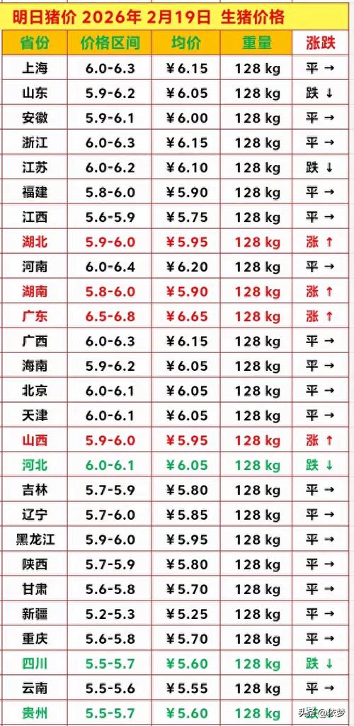 猪e网今日价格