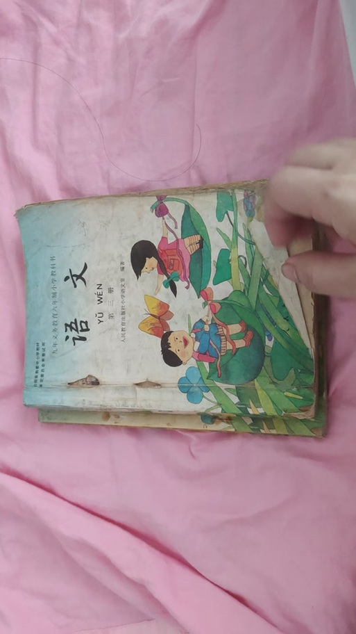1995年北京市小学教材
