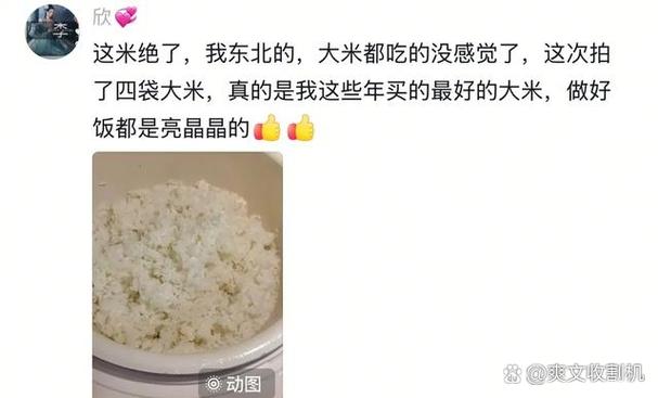 大米直播足球截图