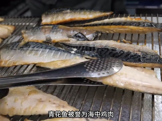 长佩青花鱼论坛网址