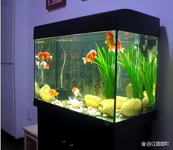 904545鱼缸多少升水