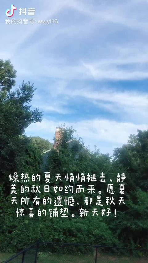 雨露文章