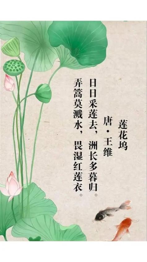 五言绝句的意义