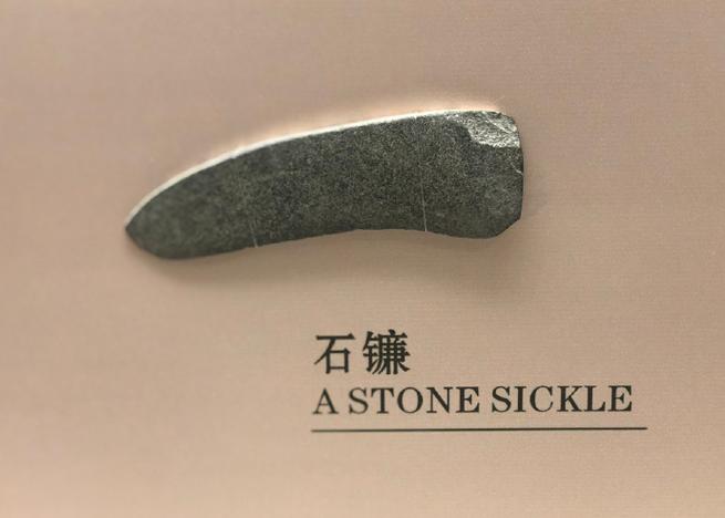 交纳一个远古器具