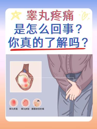 睾丸肿大怎么快速消肿