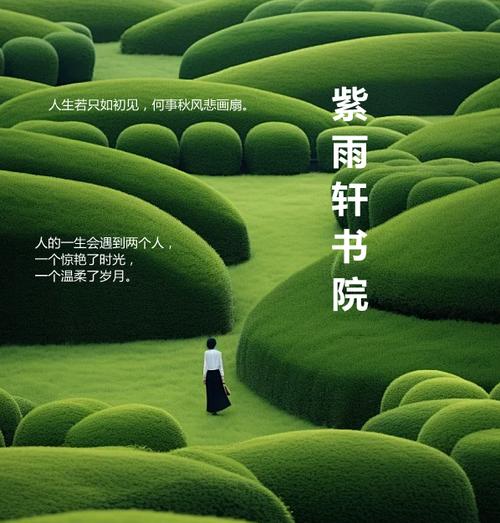 《日久生婚》作者:景之