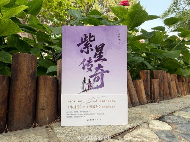 紫星满级小说