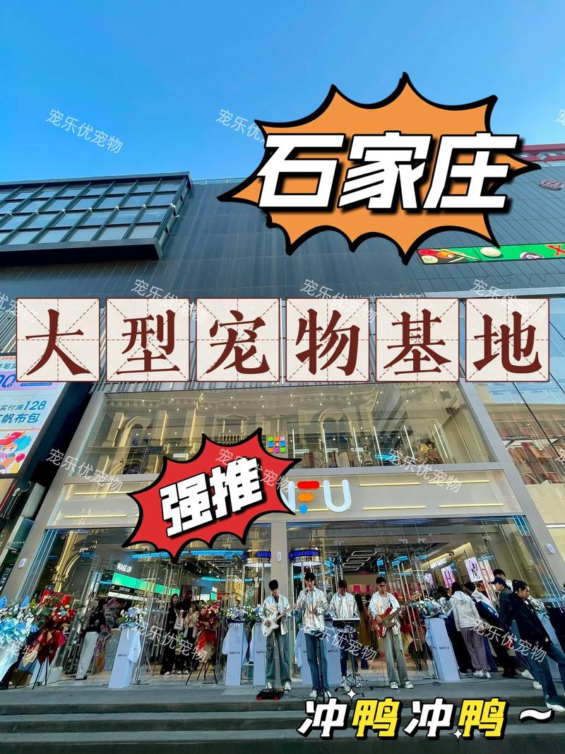 石家庄浣衣熊靠谱么