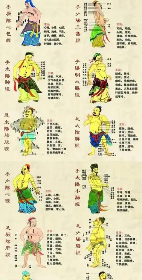 十二经络是哪十二经络缩略图