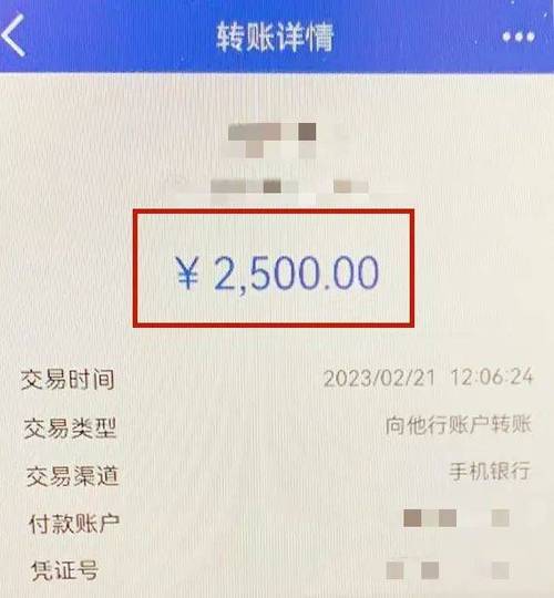 96110让我解释转账记录