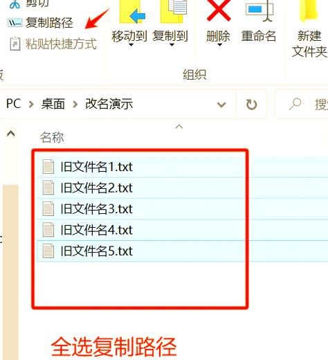电子版文件怎么修改内容