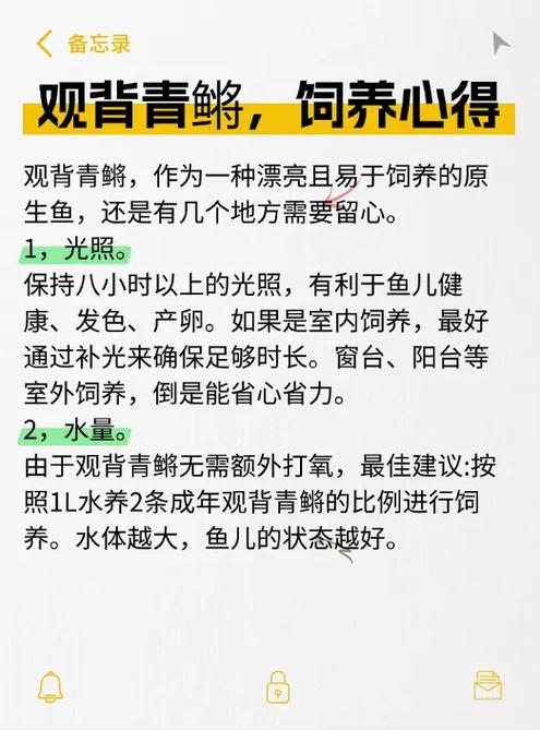 养鱼新手需要注意什么