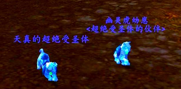 魔兽世界宠物对战升级攻略