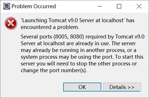 tomcat8005端口干嘛的