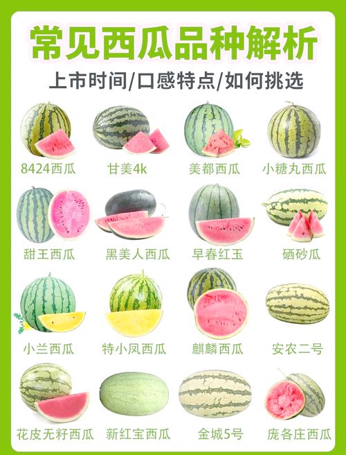 西瓜极速版多少金币等于1元