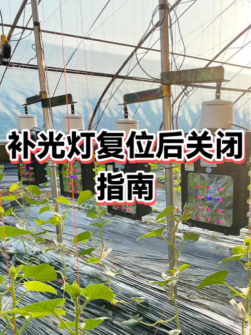 自动补光怎么关闭