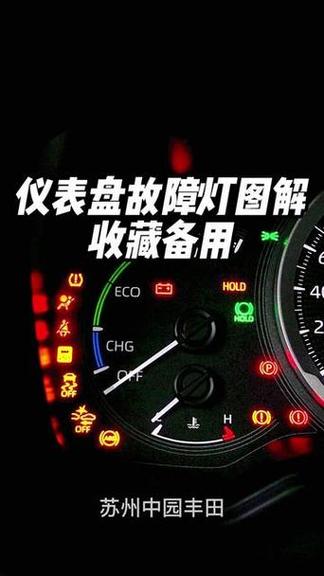 锐志故障灯图解大全大图