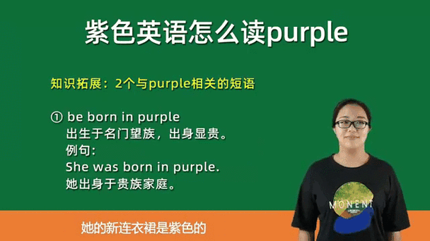 purple是什么品牌