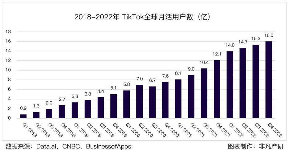 tiktok国际版用户量