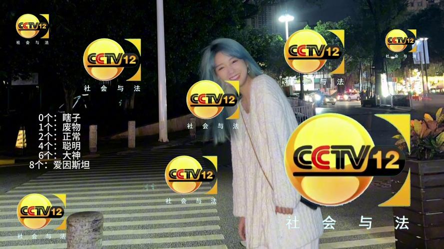 cctv12广告2005缩略图