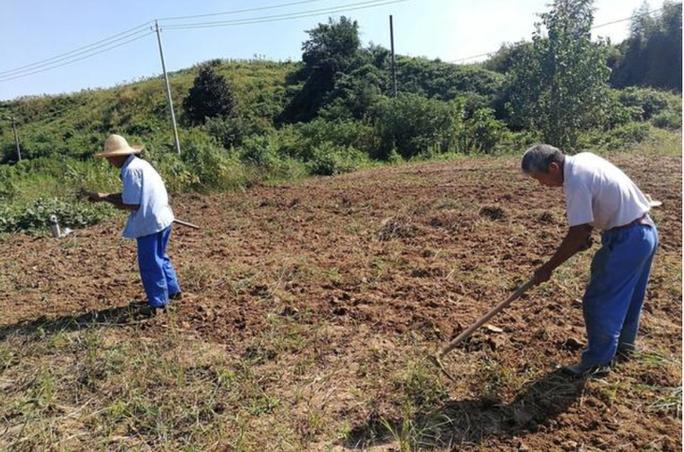 自己开荒地村里有权收回吗