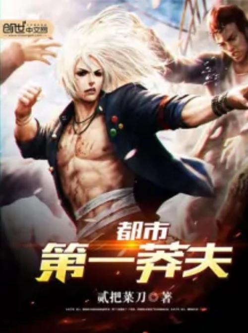 男主角是莽夫的小说