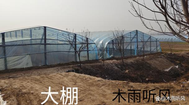 用什么办法消除大棚水滴