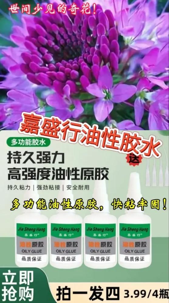 油性塑料用什么胶能粘住