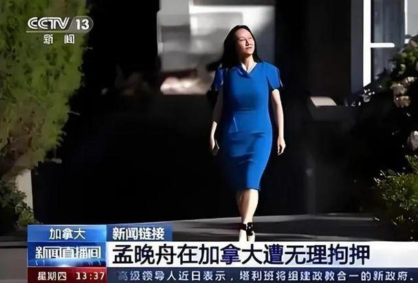 孟晚舟的本人图片游戏截图