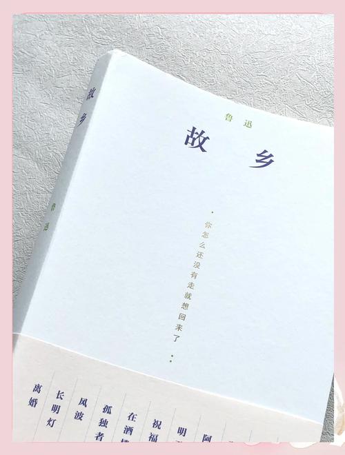 永远的迷妹永远的经典故乡缩略图