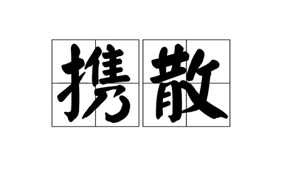 携什么什么什么成语