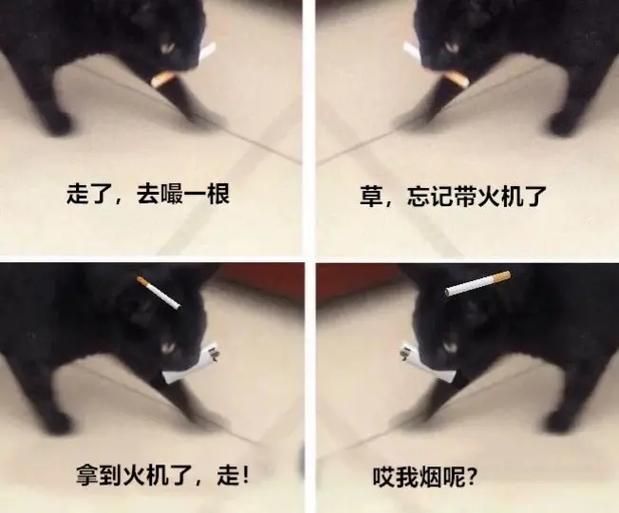 女朋友养猫很烦人
