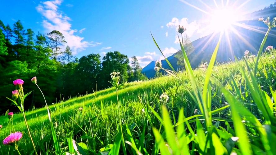 夏天美丽风景视频素材