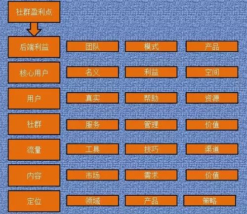 自媒体社群