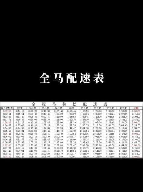 马的速度有多快