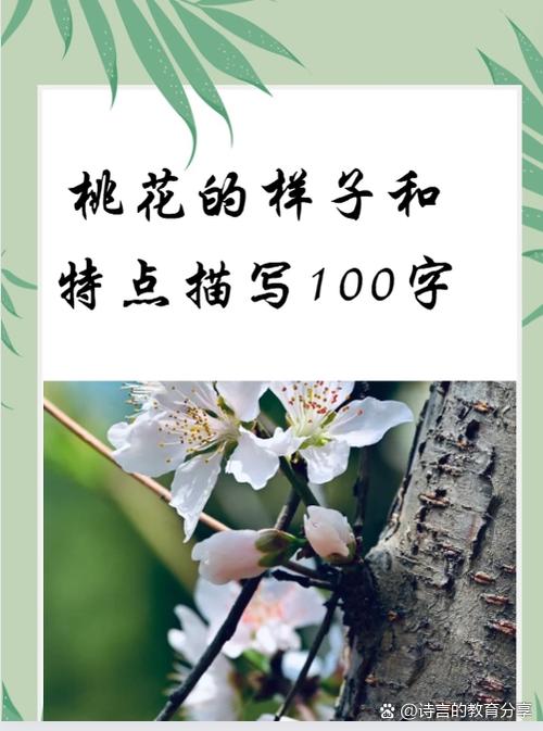形容桃花