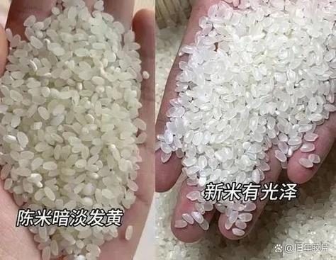 新米和陈米的区别