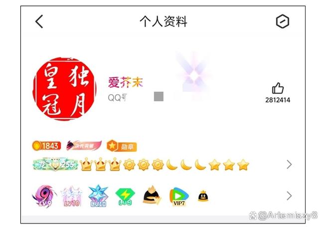四个皇冠之后是什么图标