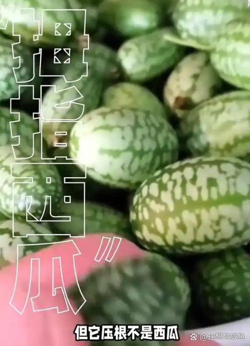 别人说你网红是什么意思缩略图