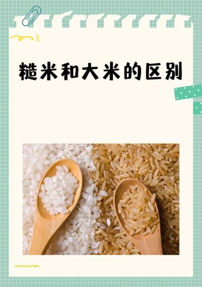 粳糙米是什么米
